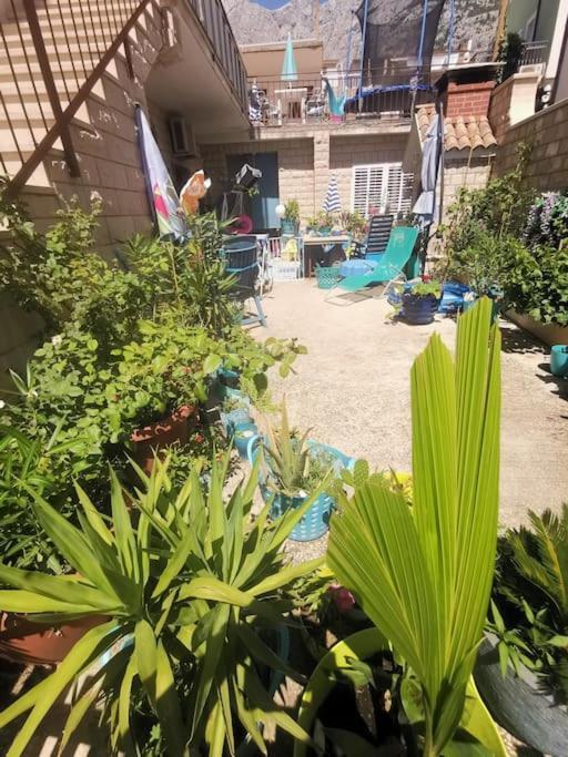 Makarska Blue Oasis Apartman 2-6 Экстерьер фото